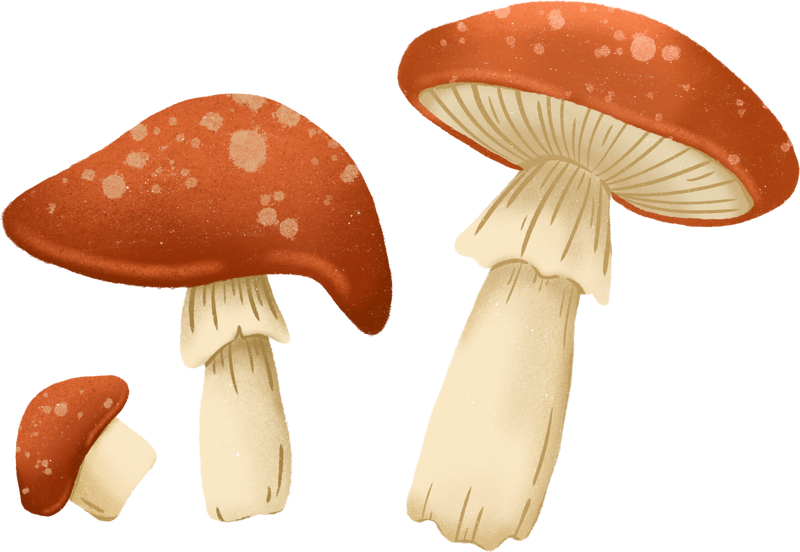 Mushroom Forest Nature Autumn Fall Decoration